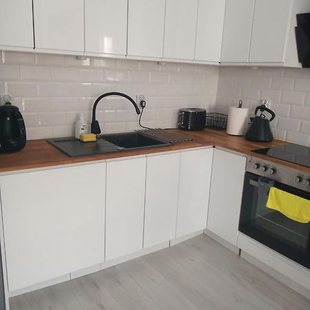 Apartament W Starym Mlynie Loft Rozanka Wrocław Extérieur photo