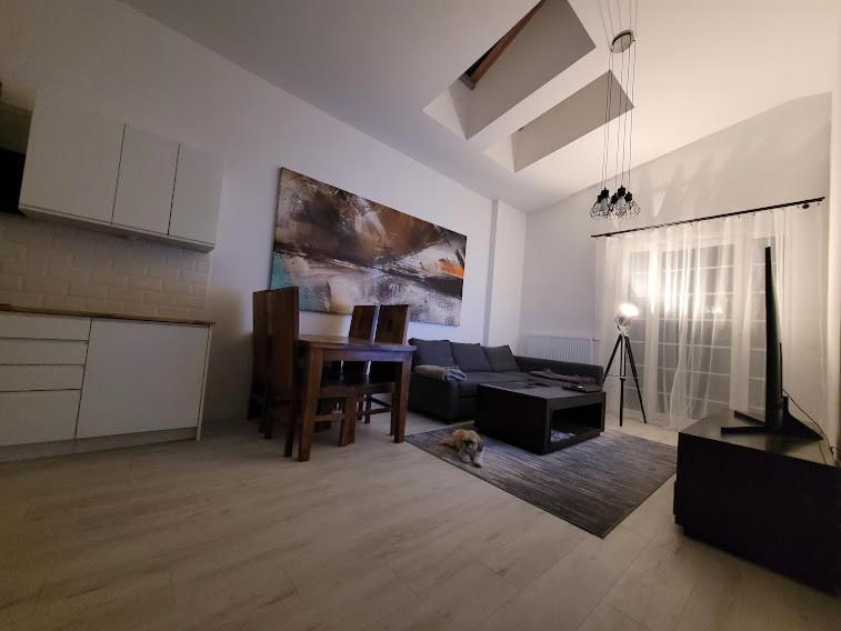 Apartament W Starym Mlynie Loft Rozanka Wrocław Extérieur photo